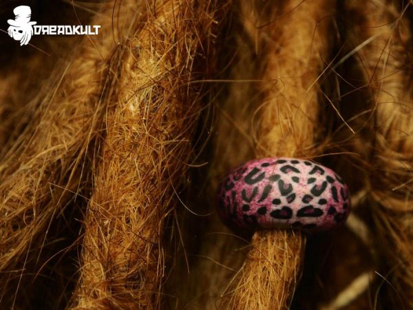 dreadperlen the wild 70s, fimo dreadperlen, dreadshop, shop fuer dreadlocks, dreadlockschmuck aus fimo, dreadschmuck und mehr, dreadstyle, dread beads polymer clay, dk, fimo dreadperlen, dreadschmuck aus fimo, polymer clay dread beads, dreadlocks je